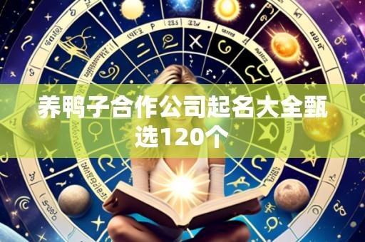养鸭子合作公司起名大全甄选120个