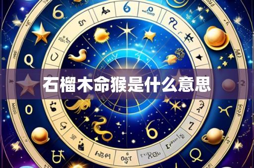 石榴木命猴是什么意思