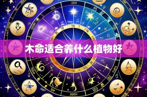 木命适合养什么植物好
